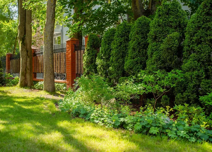 Apartment Michano Premium *